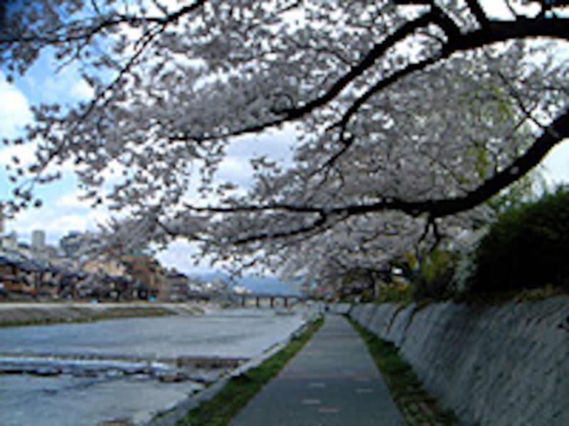 鴨川沿いをゆるりと散歩をしながら、カフェ