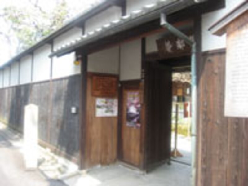 岡崎桜回廊十石舟めぐり