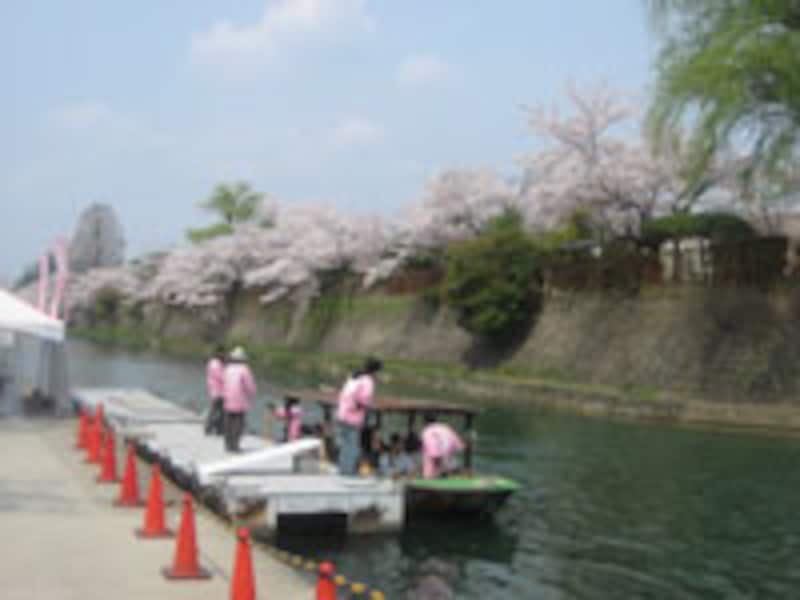 岡崎桜回廊十石舟めぐり