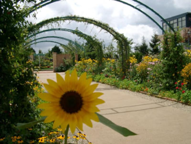快適に過ごす、京都の涼なる旅