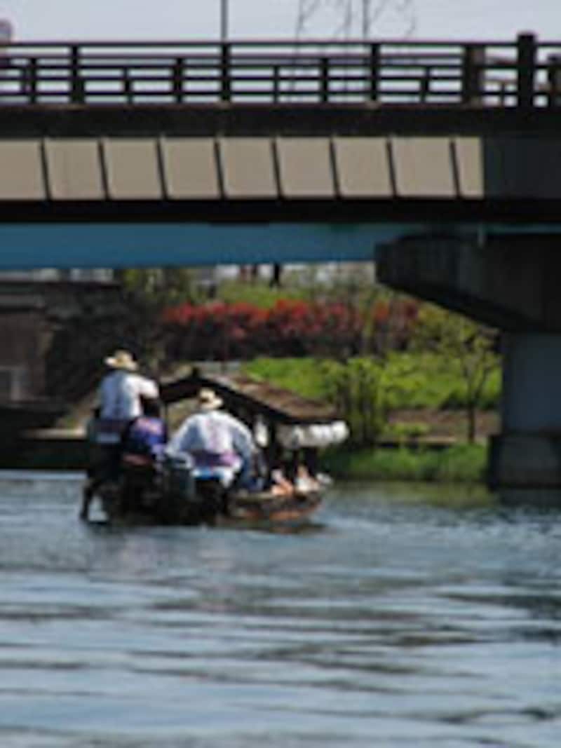 快適に過ごす、京都の涼なる旅