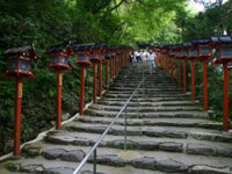 京都の涼なる庭・風景の旅