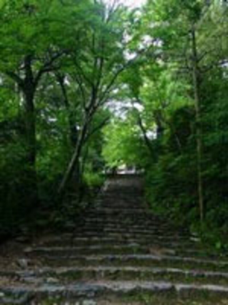 京都の涼なる庭・風景の旅