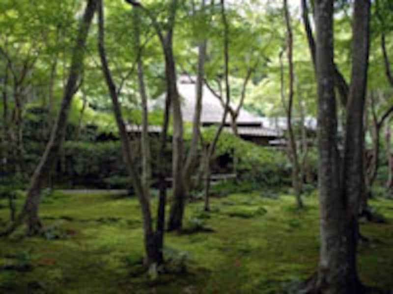 京都の涼なる庭・風景の旅
