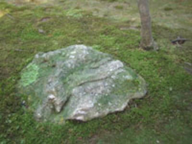 京都の涼なる庭・風景の旅