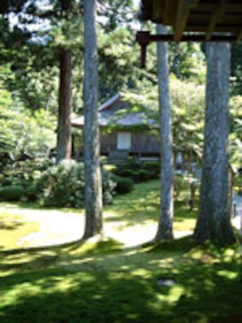 京都の涼なる庭・風景の旅