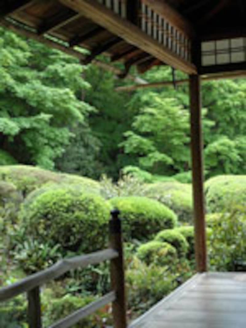 京都の涼なる庭・風景の旅