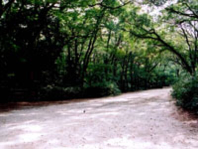 京都の涼なる庭・風景の旅