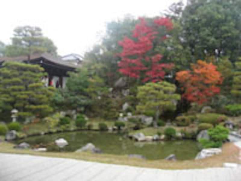 秋は、お寺で紅葉とお抹茶を！洛西方面編