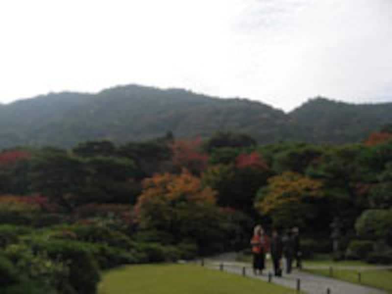 秋は、お寺で紅葉とお抹茶を!洛西方面編