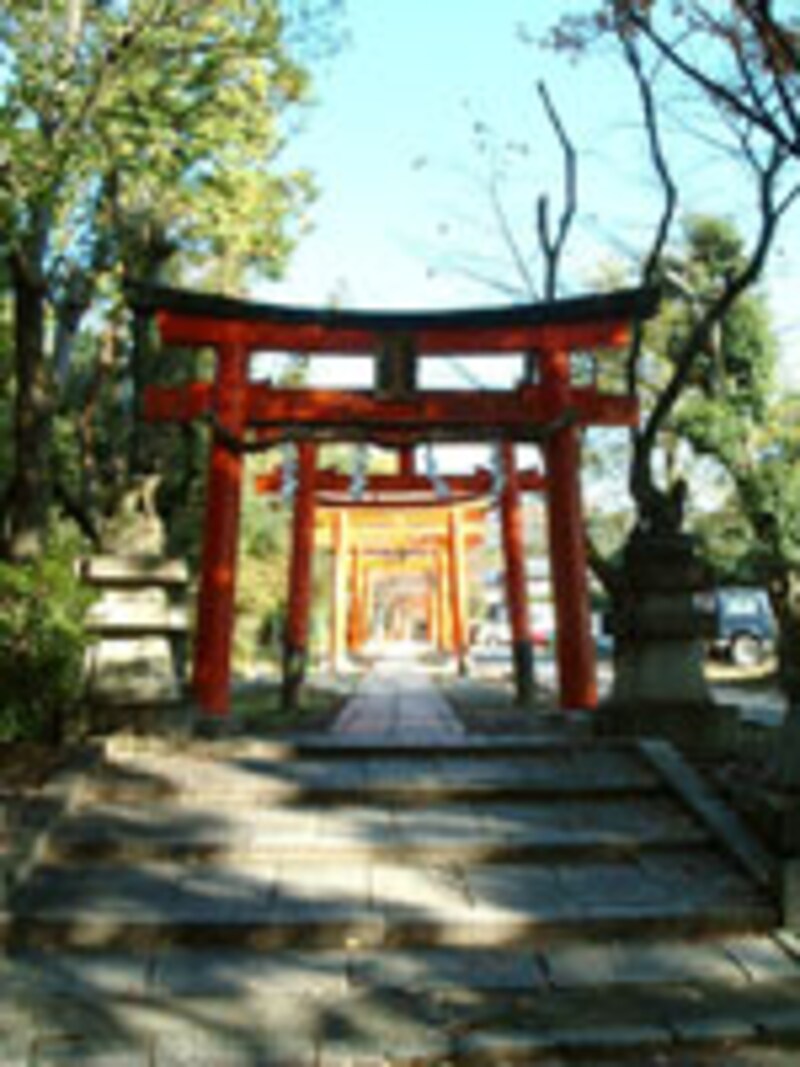 京都の節分2008年