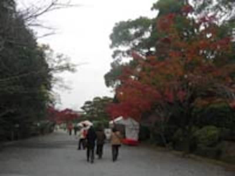 京都エリアガイド