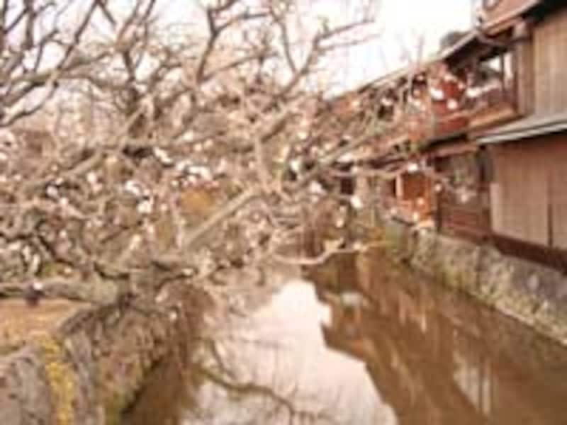 京都エリアガイド