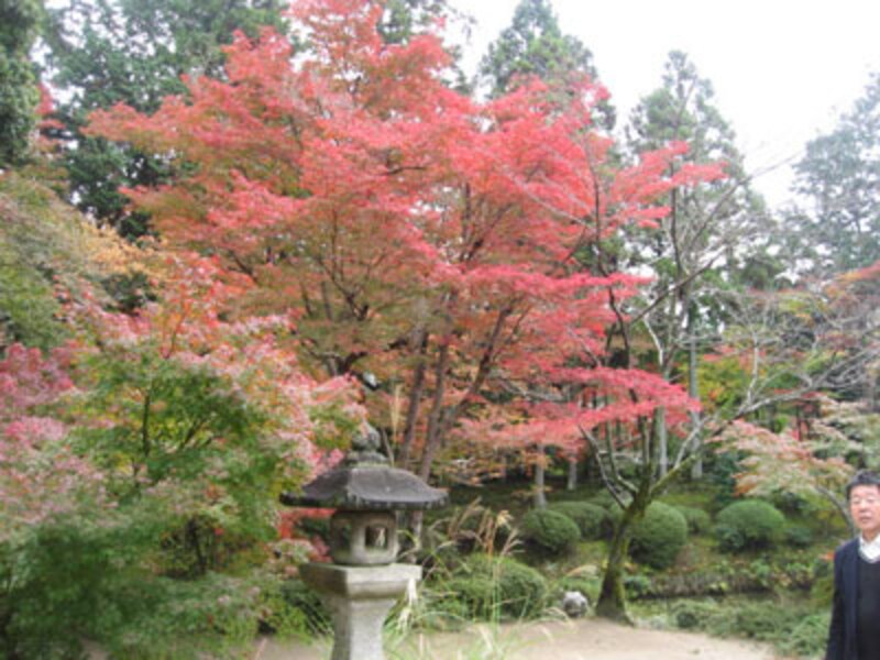 いつ京都を楽しみますか？