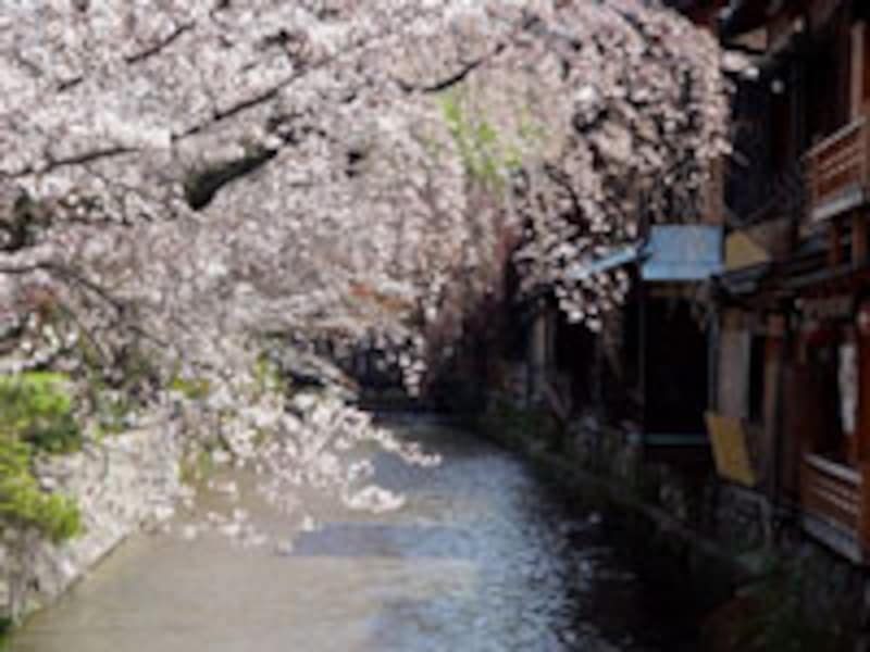 いつ京都を楽しみますか？