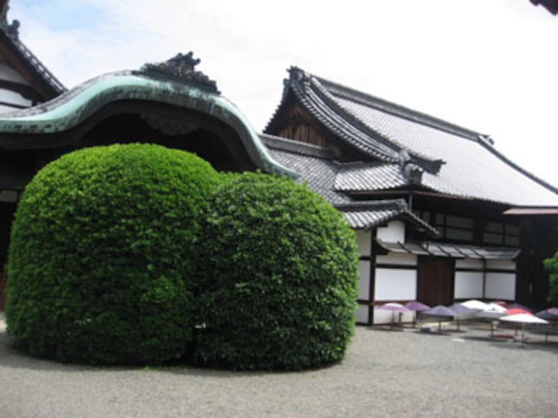 ちょっとぶらり歩き・上京区