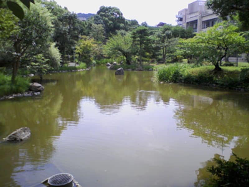 五条から七条エリアのぶらり歩き