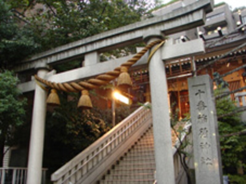 写真のタイトル