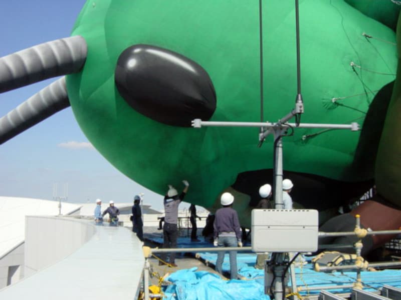 失敗の連続の末、再浮上を果たした巨大バッタ(2001年9月23日撮影)