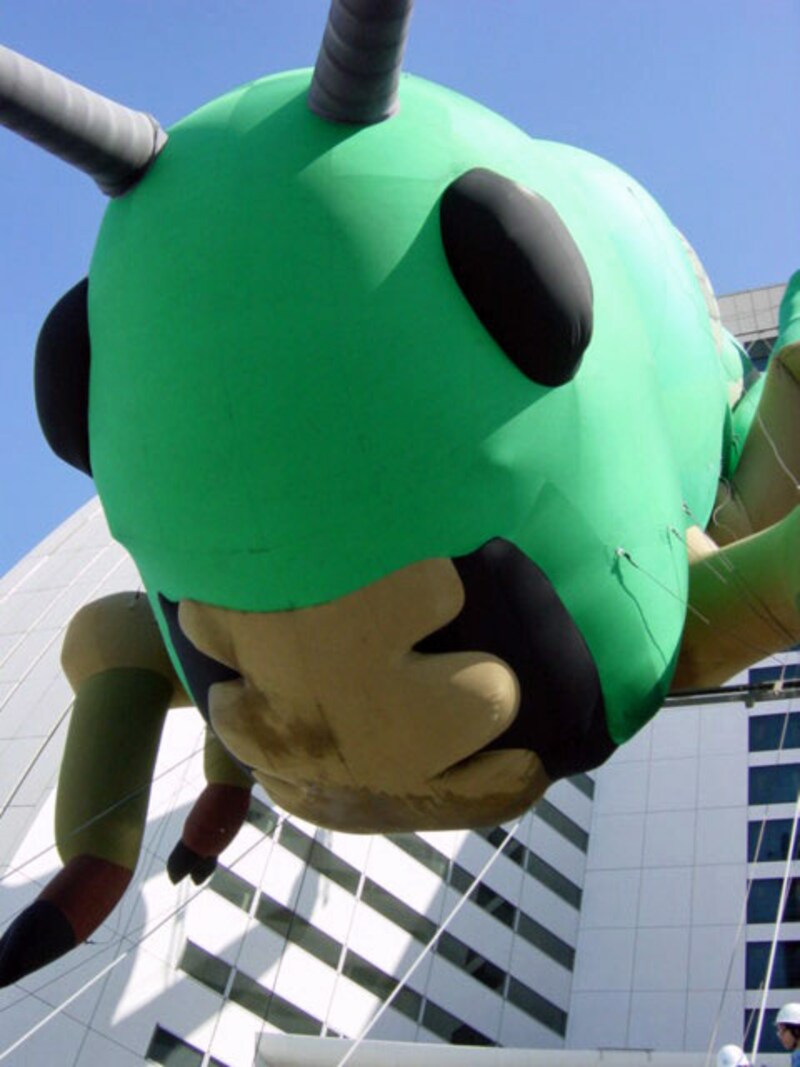 インターコンチの壁に再びはりついた、巨大バッタバルーン(2001年9月23日撮影)