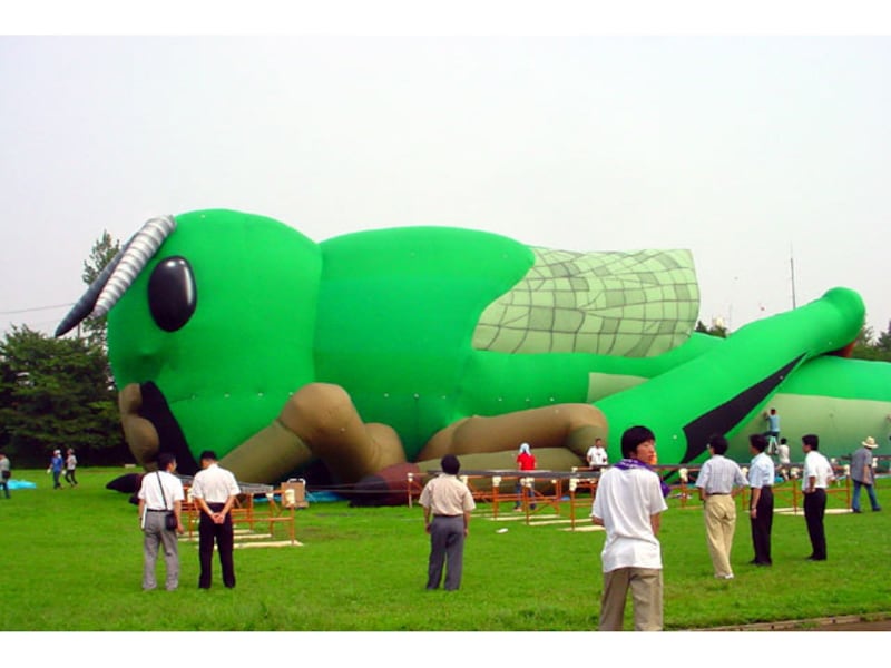 トリエンナーレ開幕1週間前、横浜国立大学のグラウンドに初めて姿を現した巨大バッタ（提供画像）