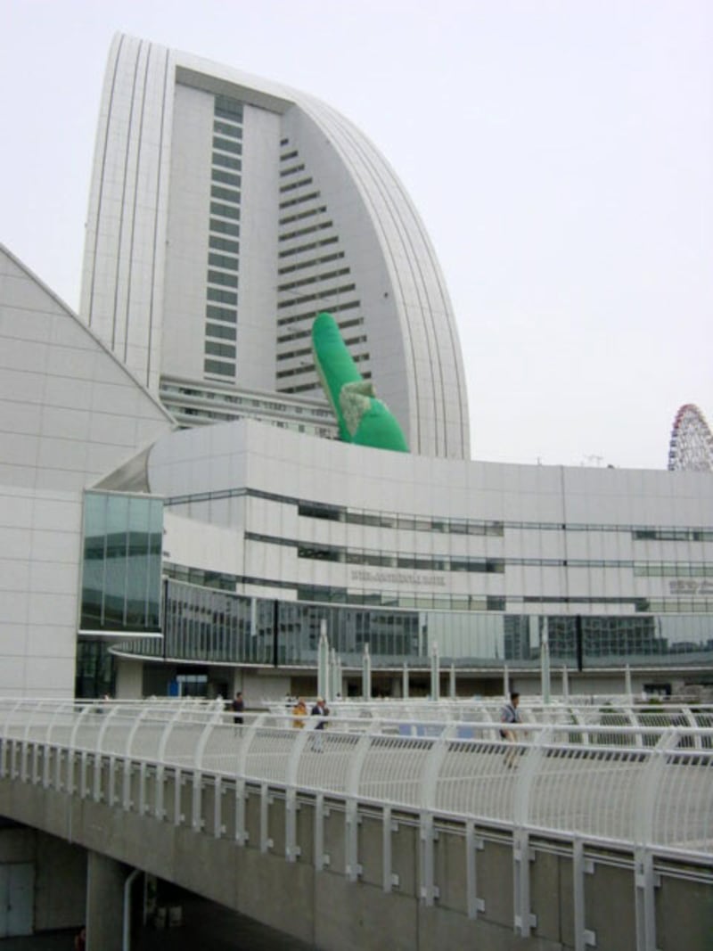 おしりの部分だけあがった様子（2001年9月2日撮影）