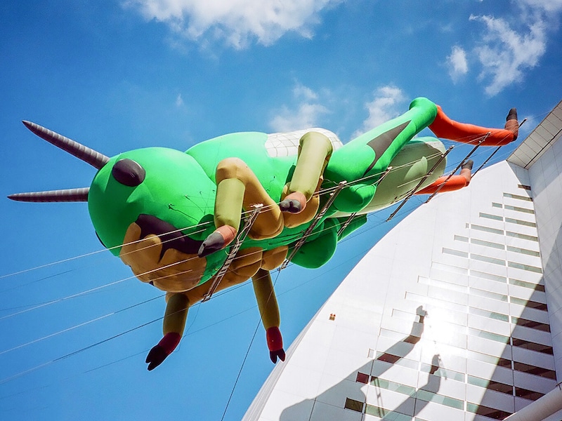 巨大バッタの姿は、きっといつまでも記憶の中に(2001年9月23日撮影)