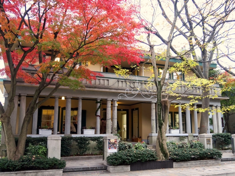 山手234番館の前には大きなカエデが紅葉します（2015年12月10日撮影）
