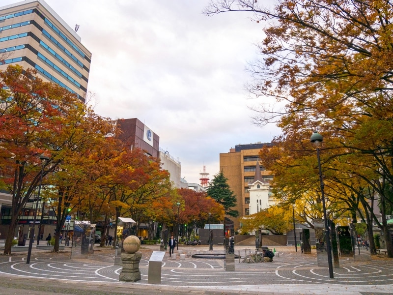 大さん橋と山下公園通りが交差する角にある「開港広場」は、日米和親条約締結の地。周辺には大きなイチョウをはじめ、紅葉、黄葉する木々が並びます(2016年11月18日撮影)