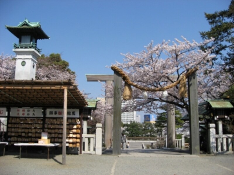 お参りして振り返るとすばらしい桜の風景が広がります。ここからも横浜ランドマークタワーが見えます（2012年4月9日撮影）