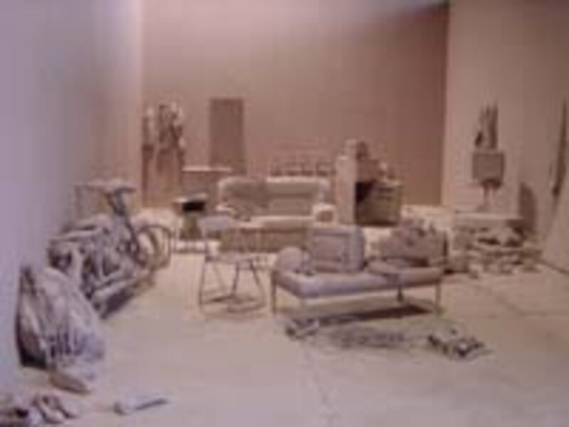 ピューリフィケーション・ルーム