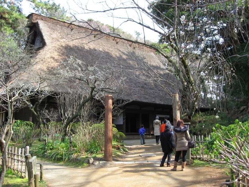 合掌造りの旧矢箆原(やのはら)家住宅ではお雛様の展示が