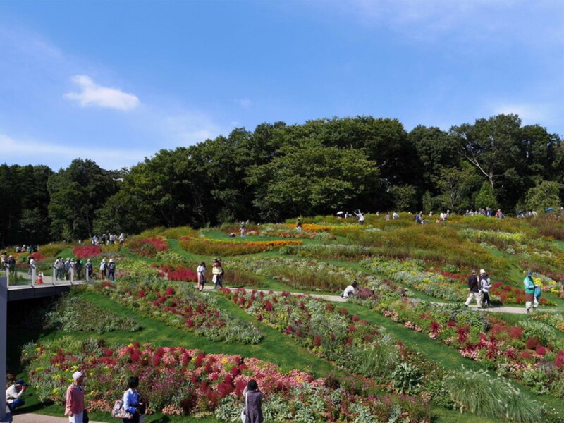 2017年秋の里山ガーデンの様子（2017年10月18日撮影）