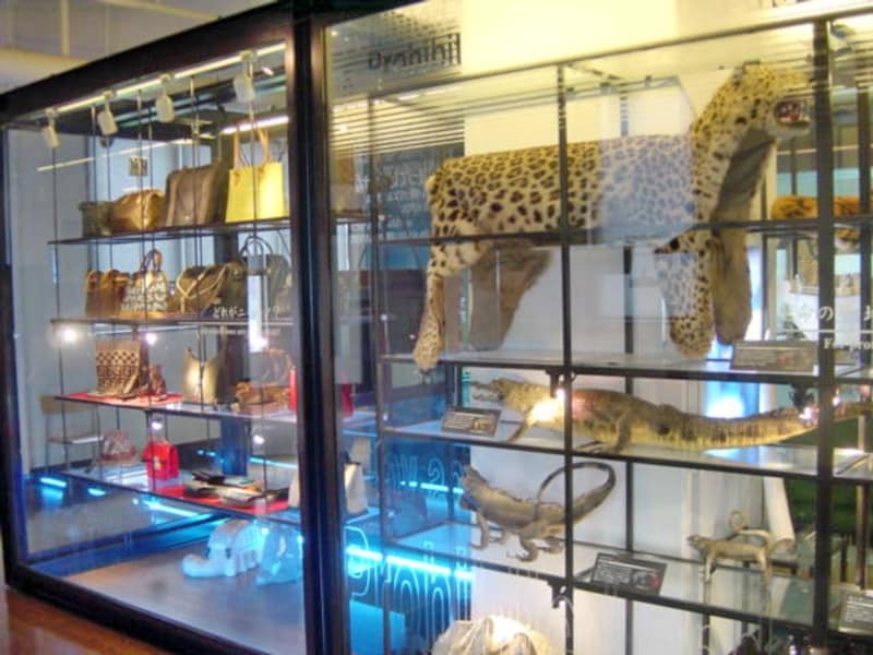 資料展示室「クイーンのひろば」では、横浜税関や横浜港の歴史、貿易について、密輸の手口などがわかります