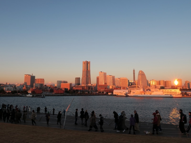 みなとみらいのビル群が陽を浴びてピンクに輝くようすが見られます(2016年1月1日撮影)