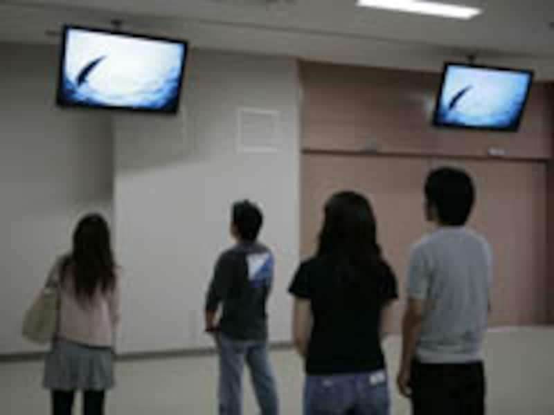 ウエルカムポート