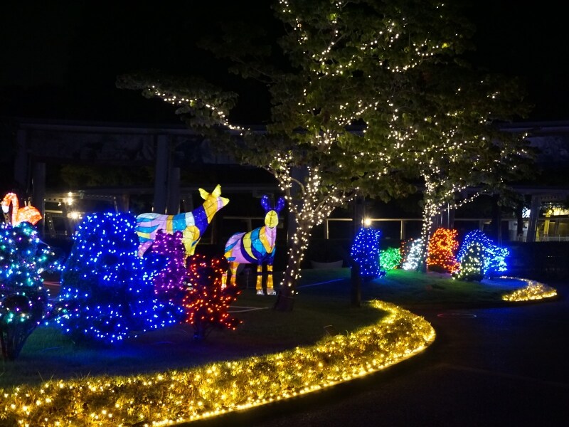 オージーヒルグリルレストラン前広場、正門、サバンナテラス前などにイルミネーションが登場(画像はイメージ、画像提供:ズーラシア)