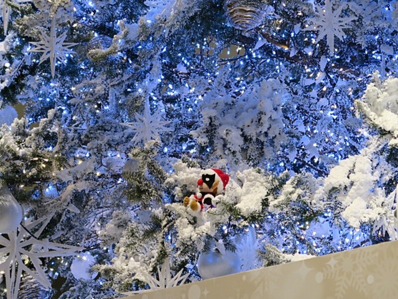 映画『MIRACLE デビクロくんの恋と魔法』に登場するデビクロくん人形