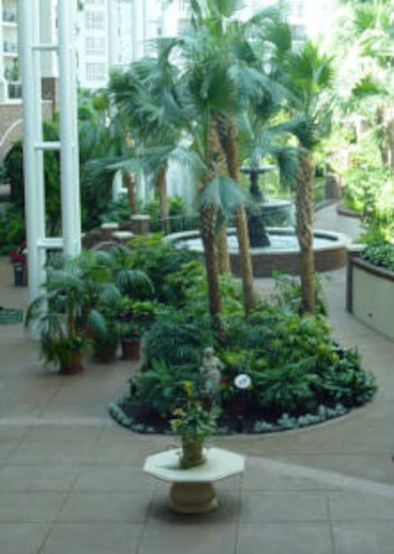 コンサバトリー・ガーデン