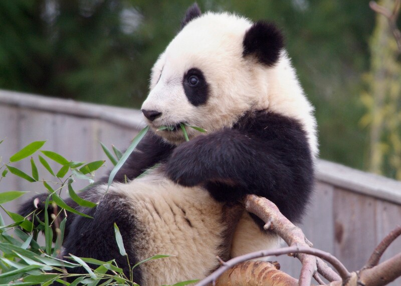 国立動物園