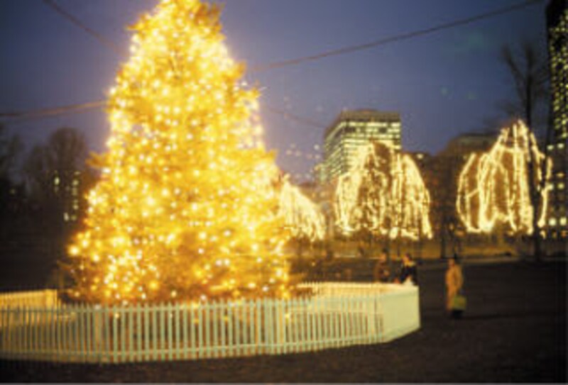 ボストンの年越し、ファーストナイト★ [ニューヨーク] All About