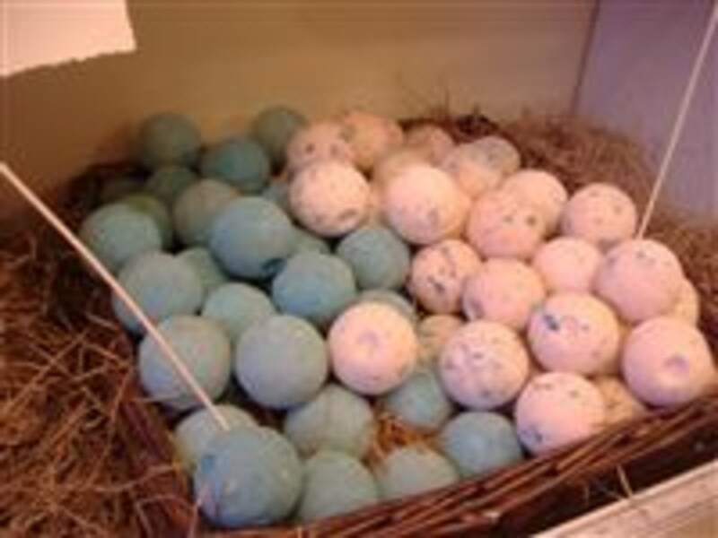 バブル・ボール