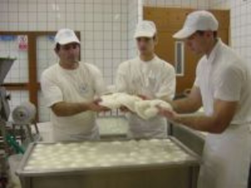 写真のタイトル