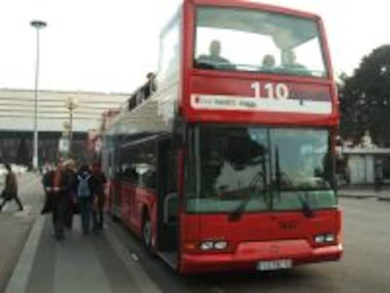 写真のタイトル