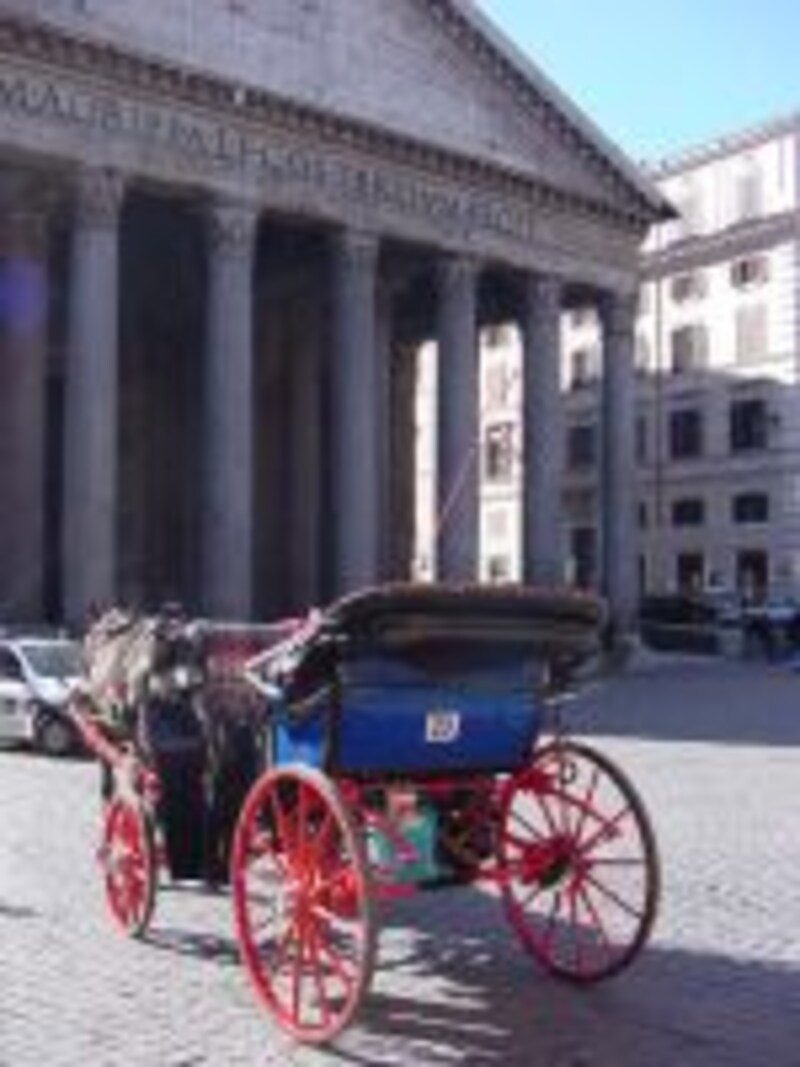 写真のタイトル