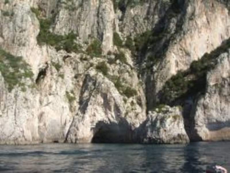 写真のタイトル