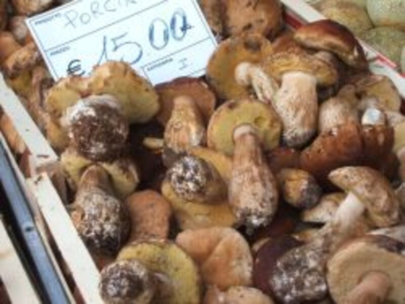 photo by SAWA pasqua