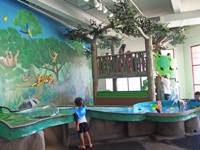 3歳以下限定の「レインフォレスト・アドベンチャーズ」。ミニ滑り台やトンネルが置かれたカーペット敷きのプレイゾーンもある