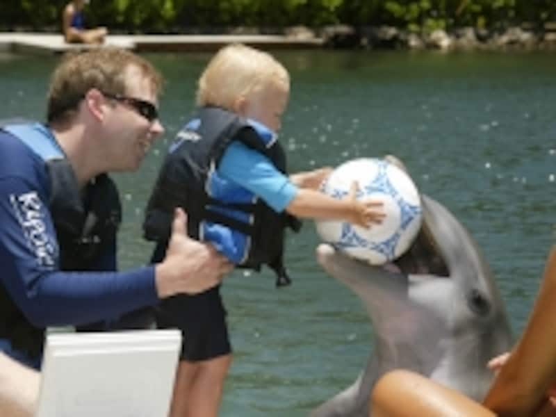 保護者の同伴で赤ちゃんから参加できるプログラムも