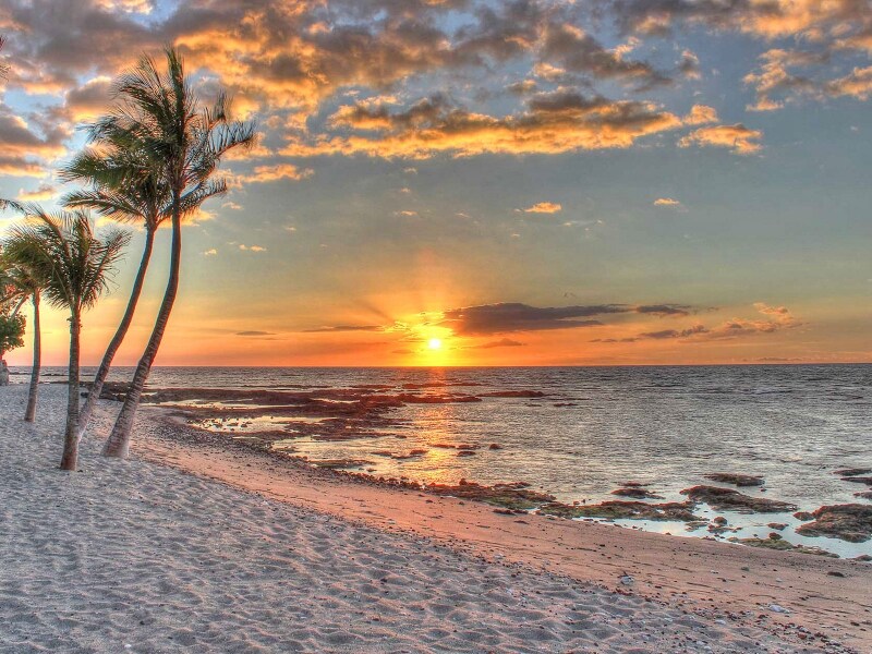 朝やサンセットタイムには、海沿いの遊歩道を散歩するのもおすすめ